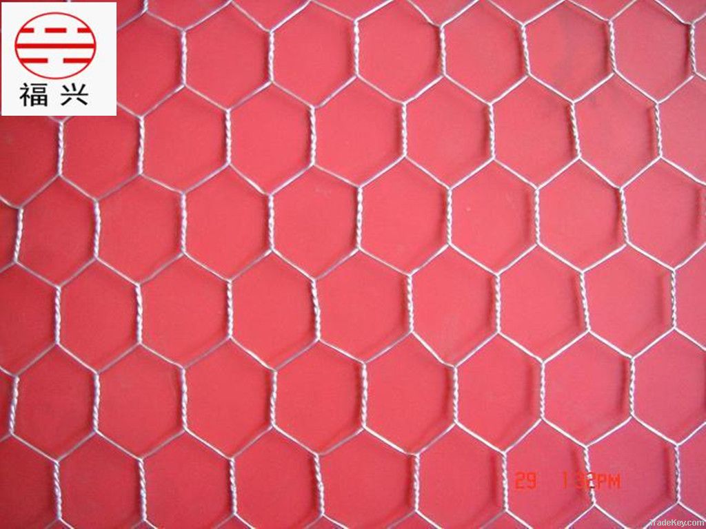 Hexagonal Wire Mesh