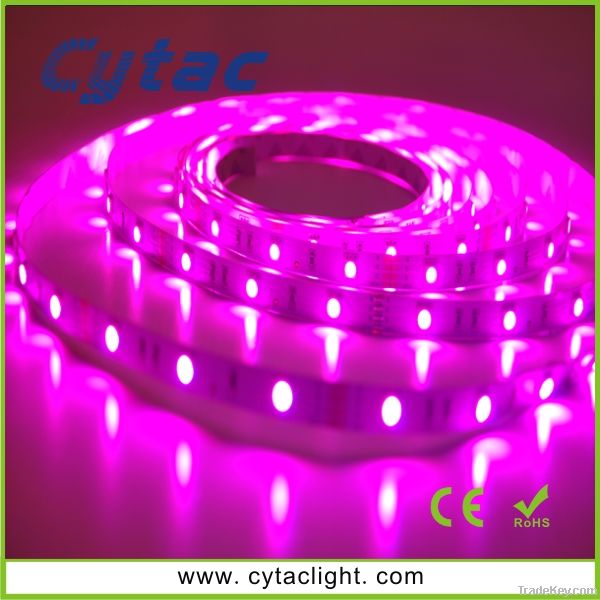 SMD3528 strip Light