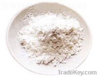 Corn /Maize Starch (Pharma Grade)