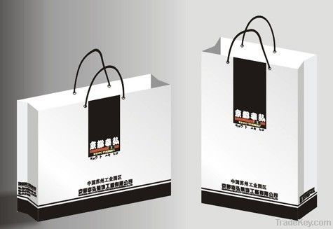 New Luxury Shopping Paper Bag for Cloth