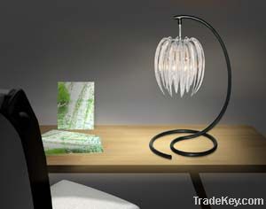 Modern ceiling Lamp acylic