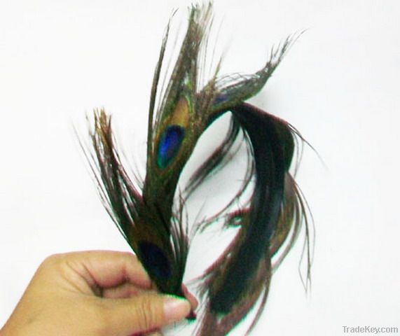 Peacock feather Boho headband