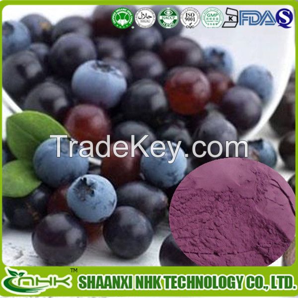 Manufacturer Supply High Quality Acai berry Powder / Acai berry Extract 10:1 / Acai