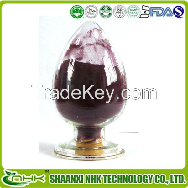 Manufacturer Supply High Quality Acai berry Powder / Acai berry Extract 10:1 / Acai