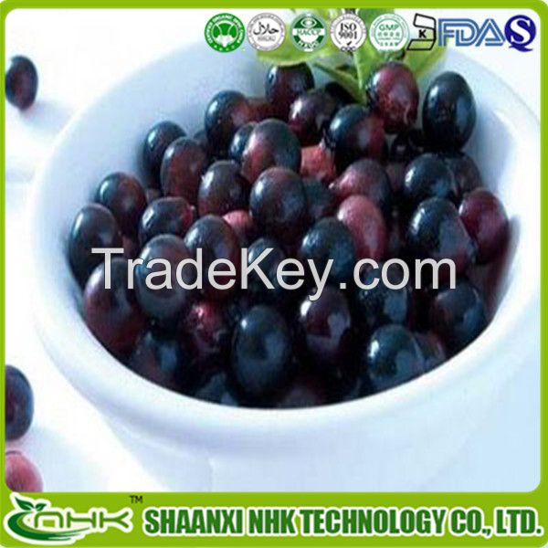 Manufacturer Supply High Quality Acai berry Powder / Acai berry Extract 10:1 / Acai