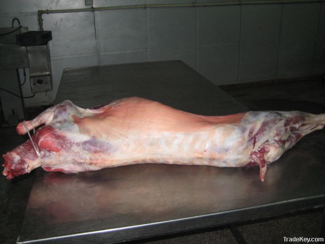 goat carcass