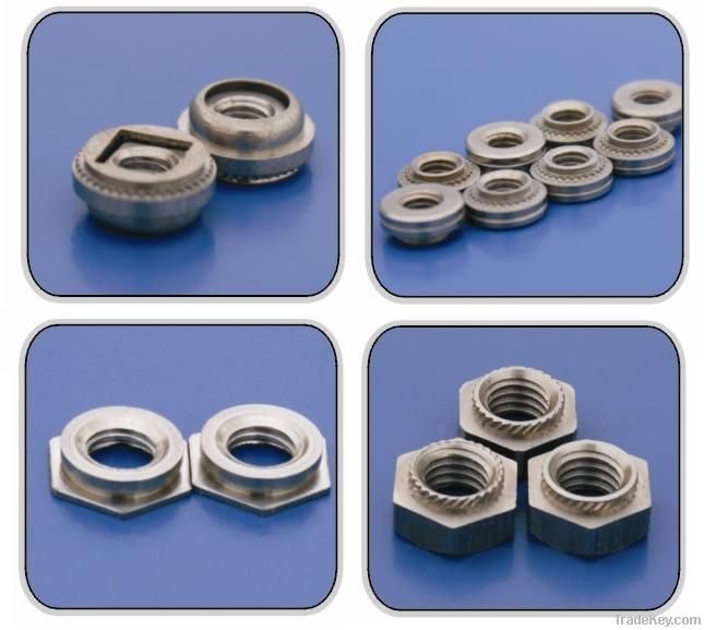 self clinching screw nut