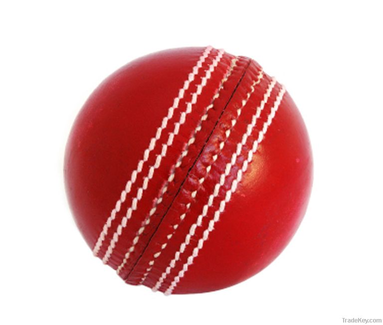 Cricket Hard Balls