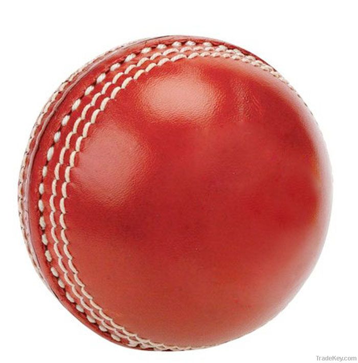 Cricket Hard Balls