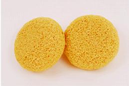 Bath Sponge