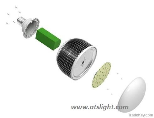 Globe LED Light Bulbs