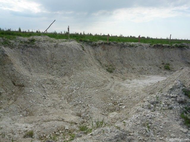 Diatomaceous Crumb