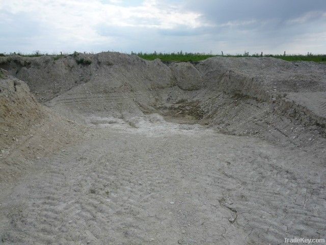 Diatomaceous Crumb