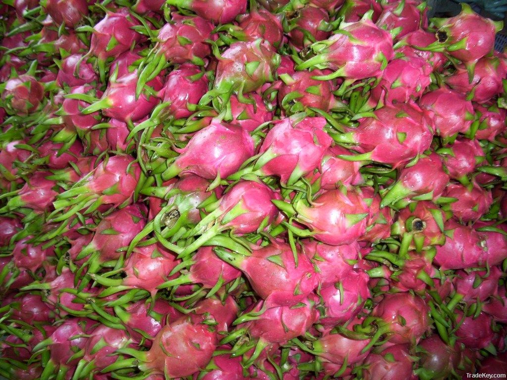 Dragon fruit