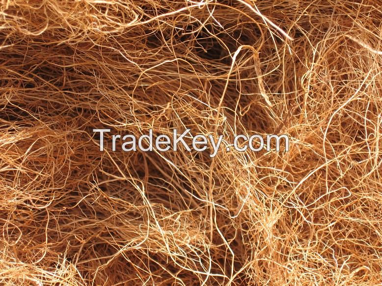 Coconut Fiber