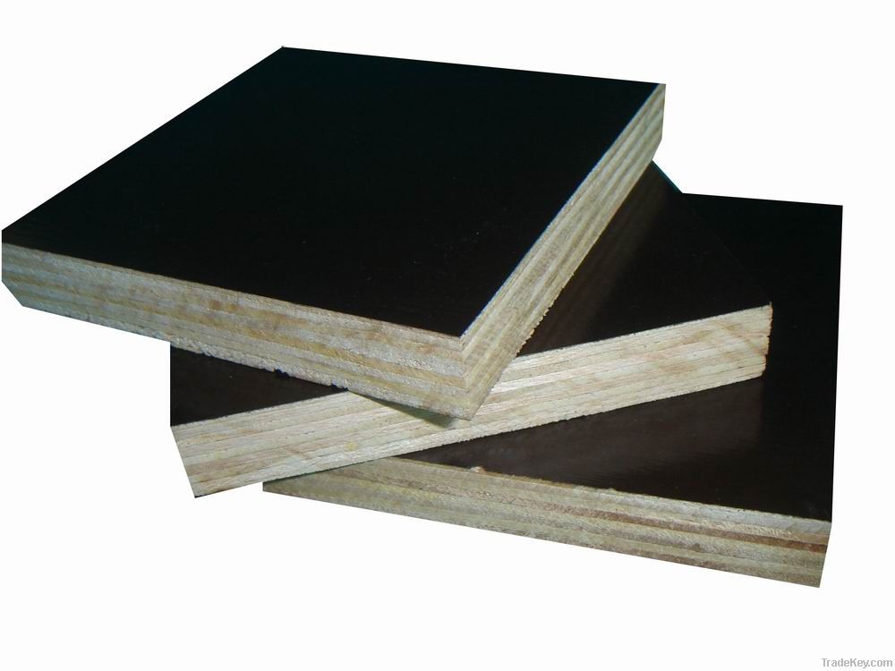 Construction Plywood