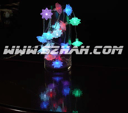 LED Light Chain