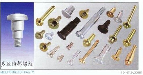 Supply step screws