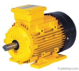 MS  THREE-PHASE ALUMINUM SHELL ASYNCHRONOUS MOTOR