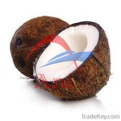 Coconut