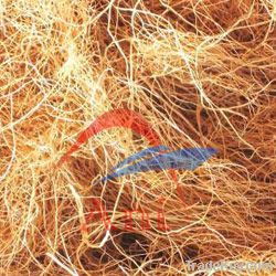 Coir Fiber