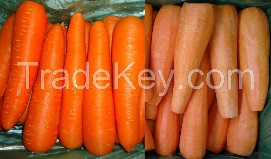 fresh carrots