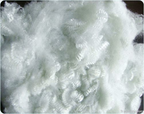 100% polyester staple fiber