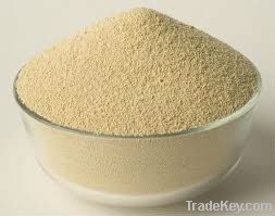 Soybean meal for animal feed