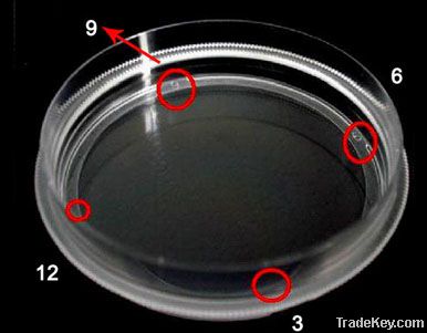 60-mm disposable petri dish with easy-grip brim