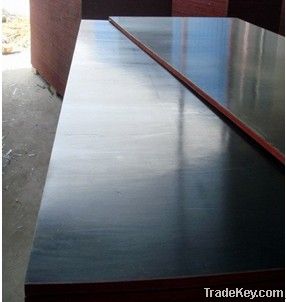 poplar black film faced plywood