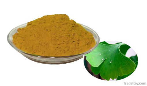 Ginkgo Biloba Leaf Extract