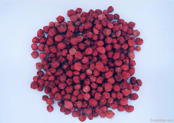 Schisandra Extract