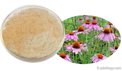 Echinacea Extract