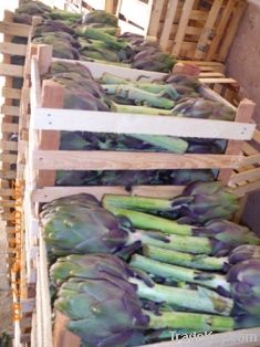 Fresh Egyptian Artichoke