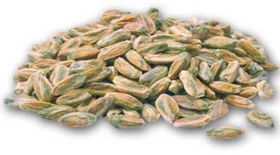 Pistachio BOZ ALL-WHITE-GREEN PEANUTS INSIDE