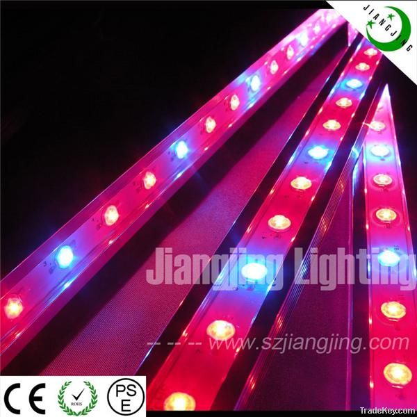 led grow light