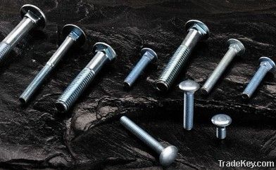 Carriage Bolts