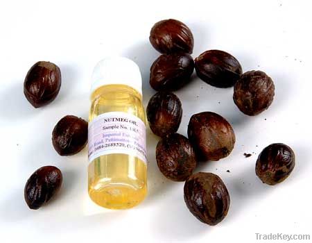 NUTMEG OIL