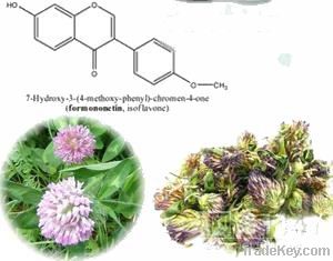 Red Clover Extract