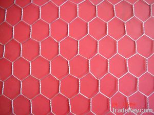 Hexagonal wire mesh