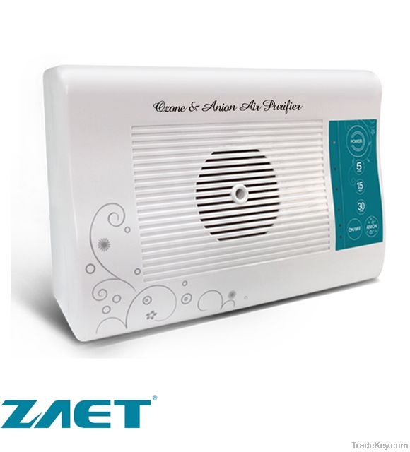 Ozone & Anion Air Purifier