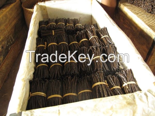 Black Vanilla Beans | Long Type | Grade AA