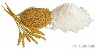 Wheat Flour, Sugar