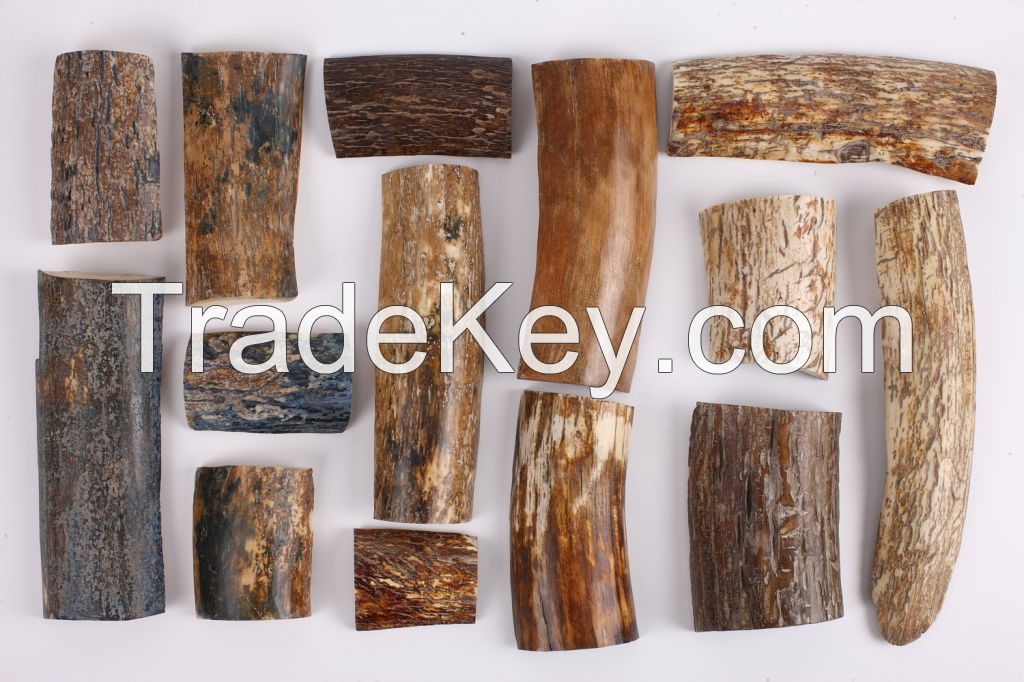 Mammoth ivory (Mammuthus primigenius) - sample products