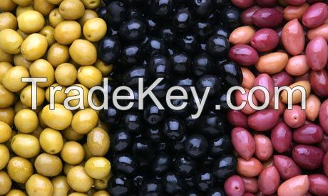 Fresh Dates | Seeds | Olives | Fenugreek Seeds