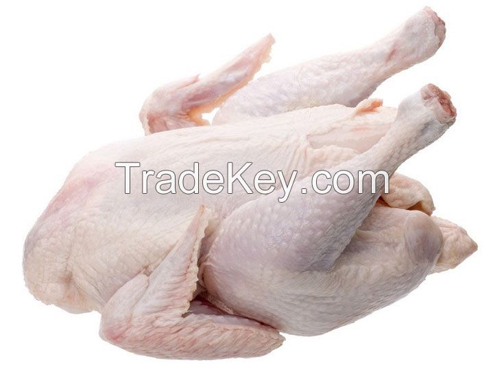 Frozen Chicken Manufacturers | Frozen Chicken Suppliers