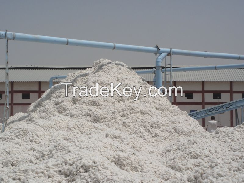 Raw Cotton, Cotton Waste 