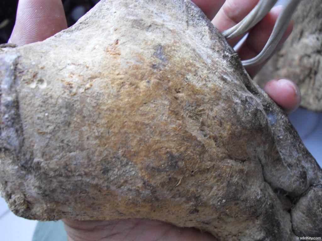 ambergris