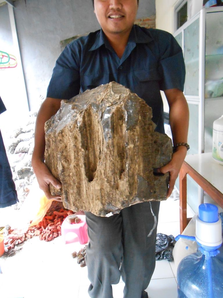 Big Red copal Amber 12 kg