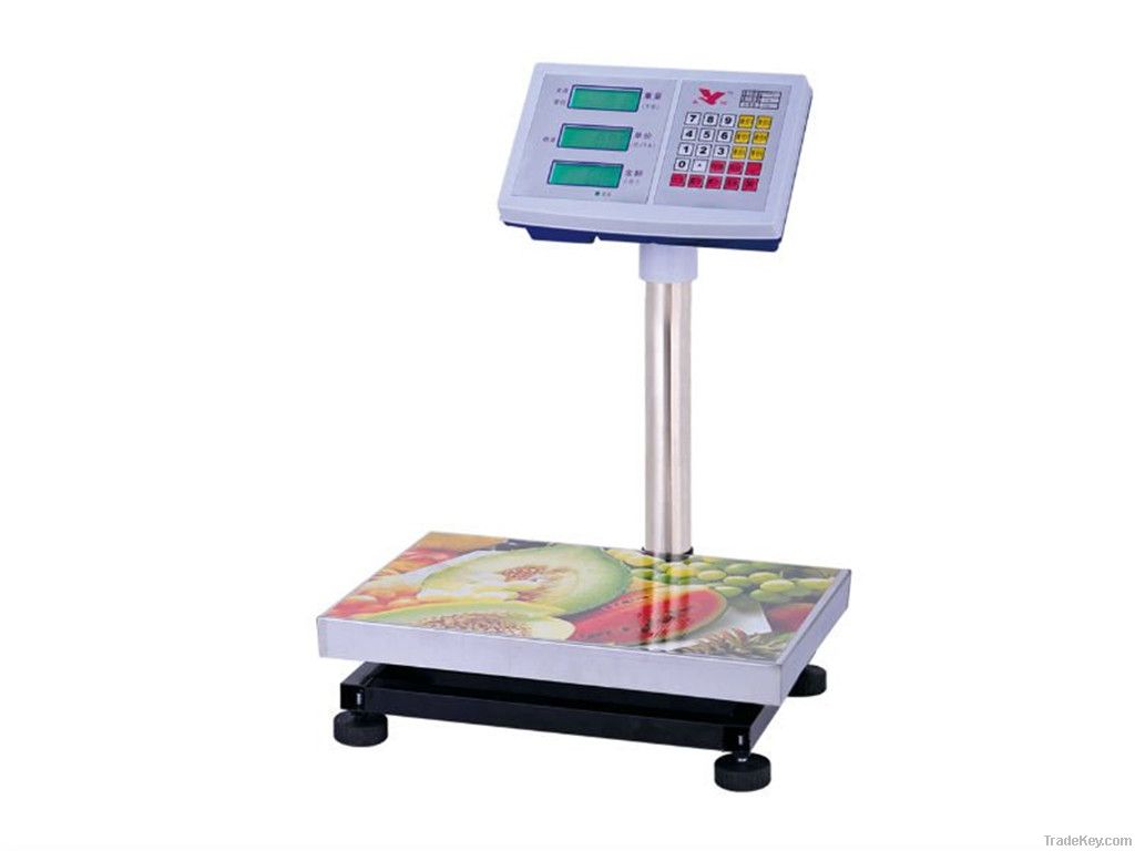 Electronic price computing platform scale